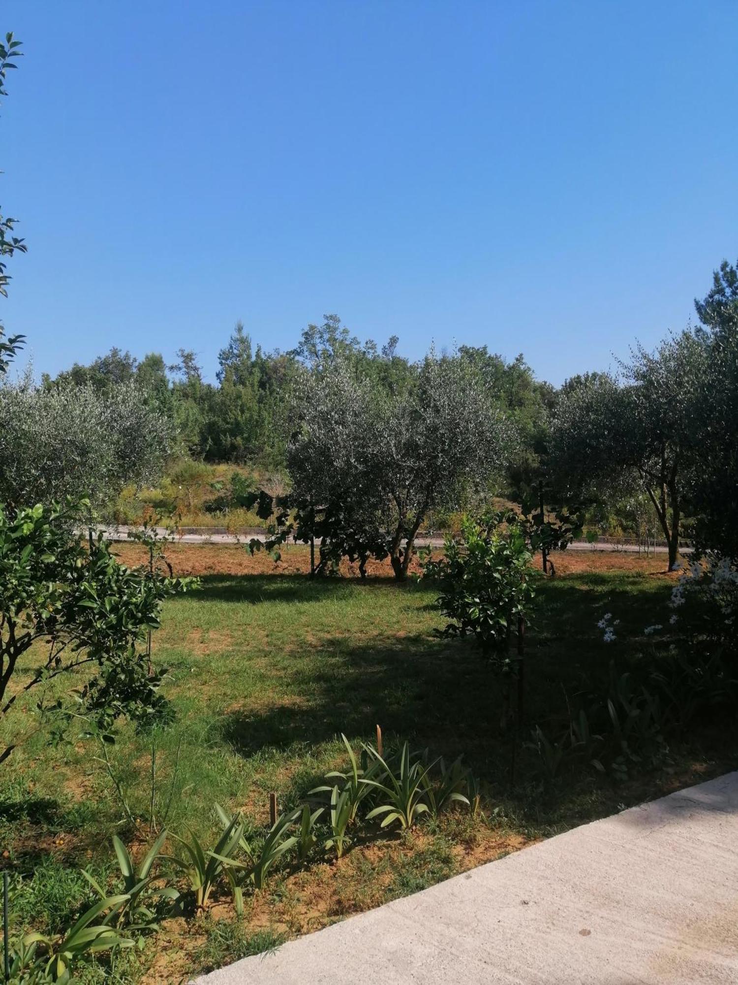 Apartman Petovic Kotor Exterior photo